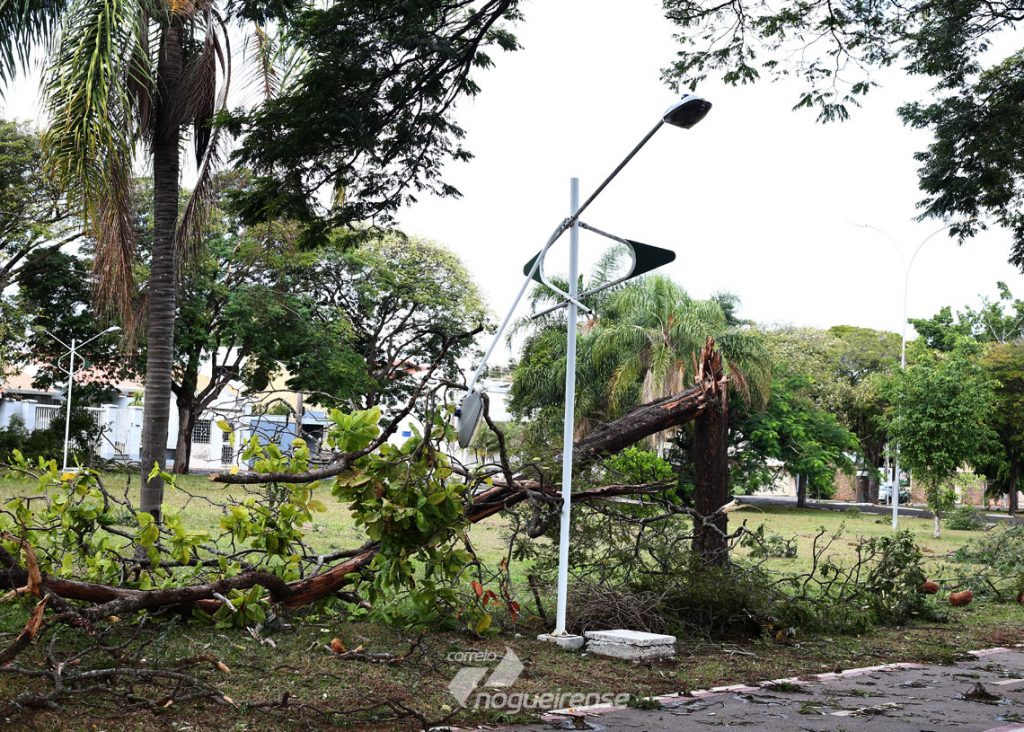 Chuva forte em Artur Nogueira causa alagamentos queda de árvores e