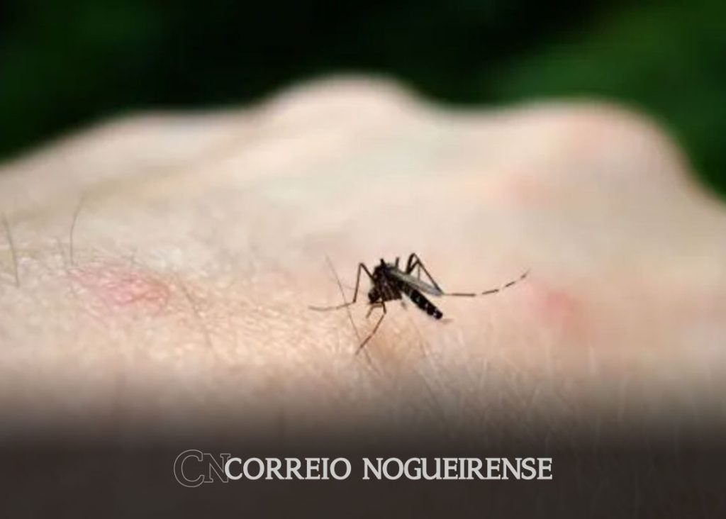 Governo Lan A Portal Dengue D Vidas Para Informar Popula O Na