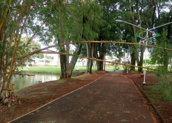 Temporal derruba árvores e traz lixo em Artur Nogueira