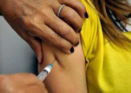 brasil-registrou-83-casos-de-febre-amarela-e-28-mortes-correio-nogueirense