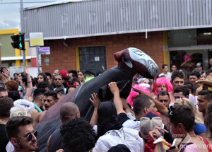 confira-as-fotos-do-ultimo-dia-do-carnartur-2018-correio-nogueirense-65