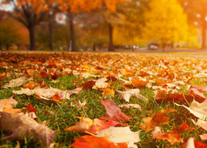 outono-comeca-nesta-terca-feira-com-registro-de-temperaturas-altas-correio-nogueirense