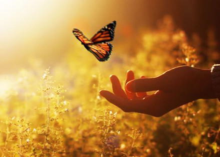 a-arte-de-ser-feliz-correio-nogueirense