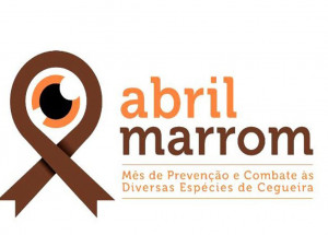 abril-e-mes-de-alerta-para-prevencao-de-doencas-que-causam-cegueira-correio-nogueirense