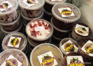 acai-e-na-mania-de-verao-correio-nogueirense-1