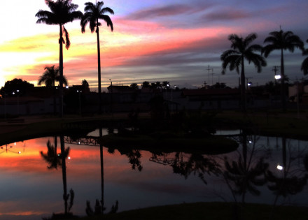 poema-o-cantico-da-terra-cora-coralina-correio-nogueirense