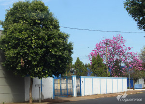 prefeitura-se-reuniu-nesta-sexta-com-filha-de-funcionaria-presa-correio-nogueirense