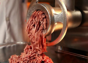 projeto-de-lei-pl-que-orienta-venda-de-carne-moida-e-aprovada-correio-nogueirense