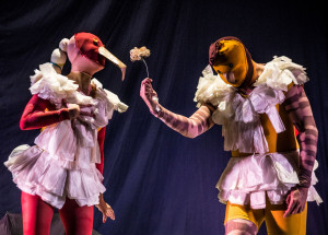 sesc-campinas-apresentara-um-espetaculo-de-passaros-repleto-de-poesia-correio-nogueirense