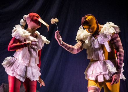 sesc-campinas-apresentara-um-espetaculo-de-passaros-repleto-de-poesia-correio-nogueirense