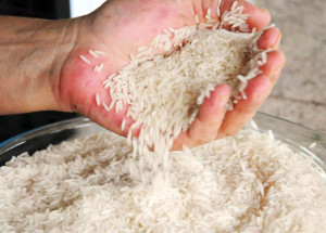 poder-executivo-autoriza-compra-de-alimentos-em-carater-emergencial-no-mesmo-dia-de-denuncias-por-falta-de-merenda-escolar-correio-nogueirense