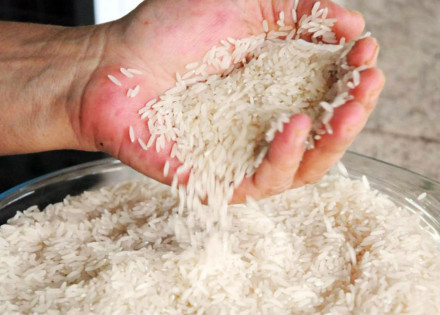 poder-executivo-autoriza-compra-de-alimentos-em-carater-emergencial-no-mesmo-dia-de-denuncias-por-falta-de-merenda-escolar-correio-nogueirense