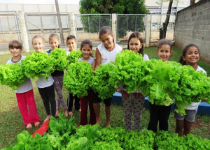 escola-municipal-de-artur-nogueira-e-campea-em-concurso-ambiental-correio-nogueirense