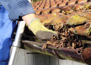 indicacao-pretende-realizar-a-troca-de-calhas-nos-predios-publicos-do-municipio-correio-nogueirense