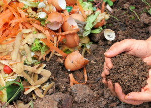 prefeitura-oferece-oficina-gratuita-de-compostagem-domestica-correio-nogueirense