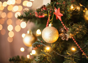 prefeitura-realiza-encantos-de-natal-na-lagoa-dos-passaros-correio-nogueirense