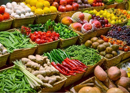 projeto-de-lei-aprovado-na-camara-determina-a-distribuicao-de-produtos-agricolas-nas-escolas-correio-nogueirense