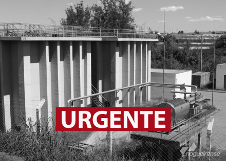 afinal-cade-o-dinheiro