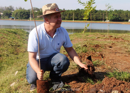 catolicos-se-unem-em-acao-paroquial-no-plantio-de-200-arvores-correio-nogueirense-010