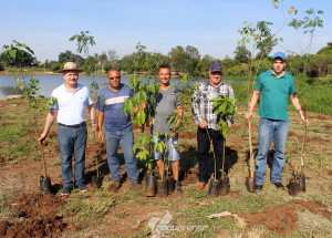 catolicos-se-unem-em-acao-paroquial-no-plantio-de-200-arvores-correio-nogueirense