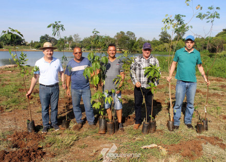 catolicos-se-unem-em-acao-paroquial-no-plantio-de-200-arvores-correio-nogueirense
