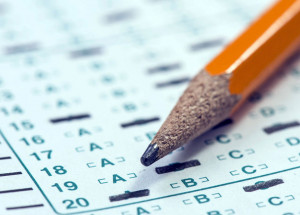 holambra-abre-processo-seletivo-para-cargos-no-transito-e-saude-correio-nogueirense