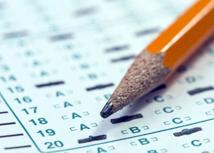 holambra-abre-processo-seletivo-para-cargos-no-transito-e-saude-correio-nogueirense