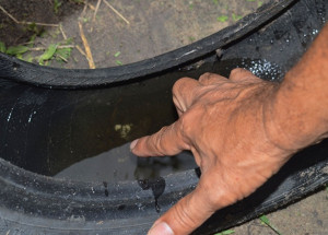 morador-liga-para-vigilancia-sanitaria-e-e-ignorado-correio-nogueirense