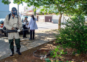 cosmopolis-combate-a-dengue-para-evitar-epidemia-correio-nogueirense