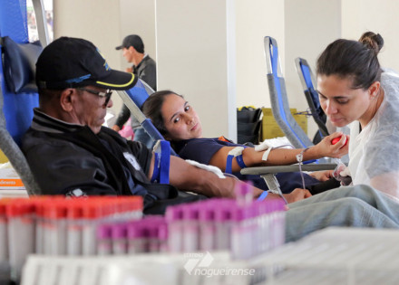 holambra-recebe-nova-etapa-da-campanha-de-doacao-de-sangue-no-dia-3-correio-nogueirense