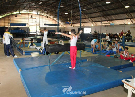 paulinia-e-destaque-em-etapa-de-ginastica-artistica-infantil-correio-nogueirense