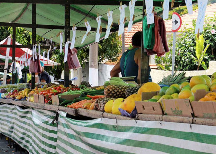 prefeitura-de-artur-nogueira-antecipa-feira-do-jardim-carolina-correio-nogueirense