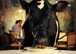 animal-politico-e-exibido-no-programa-pontos-mis-na-proxima-segunda-em-americana-correio-nogueirense