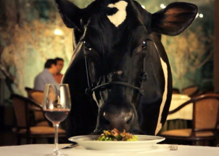 animal-politico-e-exibido-no-programa-pontos-mis-na-proxima-segunda-em-americana-correio-nogueirense