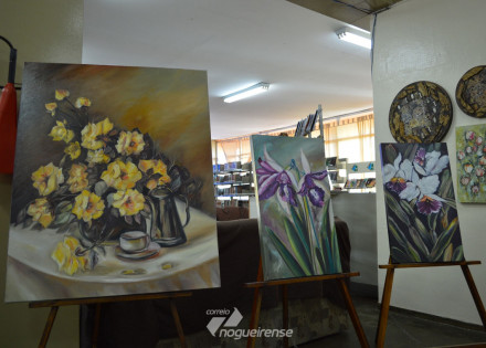 biblioteca-municipal-de-sumare-abre-espaco-para-exposicoes-artisticas-correio-nogueirense