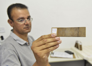 indaiatuba-registra-apenas-55-casos-de-dengue-em-meio-a-epidemia-registrada-na-regiao-correio-nogueirense