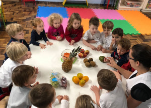 prefeitura-de-artur-nogueira-realiza-trabalho-para-a-melhoria-da-alimentacao-com-as-criancas-da-rede-publica-correio-nogueirense