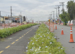 prefeitura-inicia-trabalhos-de-revitalizacao-da-av-ario-barnabe-em-indaiatuba-correio-nogueirense