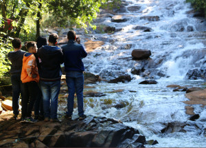 biblioteca-de-holambra-recebe-exposicao-biodiversidade-e-meio-ambiente-correio-nogueirense