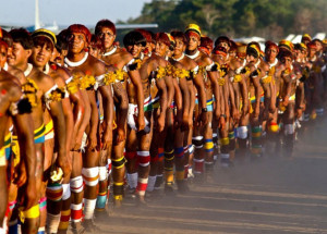 operacao-apura-desvio-de-r25-milhoes-de-verbas-da-saude-indigena-correio-nogueirense