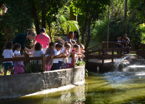 sumare-promove-diversas-atividades-na-proxima-quarta-feira-dia-05-dia-mundial-do-meio-ambiente-correio-nogueirense