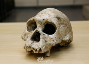 descoberta-de-brasileiros-pode-mudar-historia-da-humanidade-correio-nogueirense