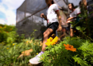geracao-atual-tem-pouco-contato-com-a-natureza-alertam-especialistas-correio-nogueirense