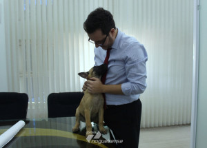 prefeitura-de-sumare-inaugura-departamento-municipal-de-protecao-e-bem-estar-animal-correio-nogueirense