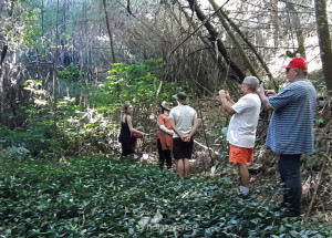 programa-guardioes-da-biodiversidade-realiza-primeiro-curso-de-capacitacao-em-itatiba-correio-nogueirense