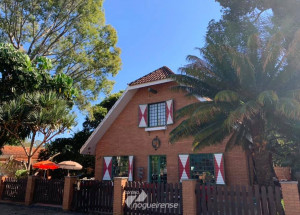 rock-rose-comemora-o-dia-mundial-do-rock-neste-sabado-correio-nogueirense