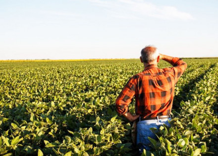 comeca-hoje-prazo-para-entrega-da-declaracao-de-propriedade-rural-em-artur-nogueira-correio-nogueirense