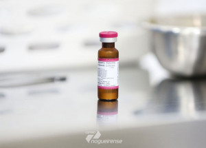 governo-federal-distribui-16-milhoes-de-doses-de-vacina-contra-o-sarampo-aos-estados-correio-nogueirense