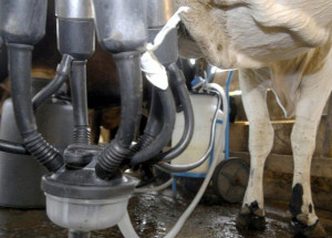 20190522010512_14d9ab74aa581623eb367d6f076f4158db93f3393b7be40552a536ae2c3e3a2d