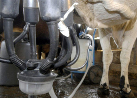 20190522010512_14d9ab74aa581623eb367d6f076f4158db93f3393b7be40552a536ae2c3e3a2d